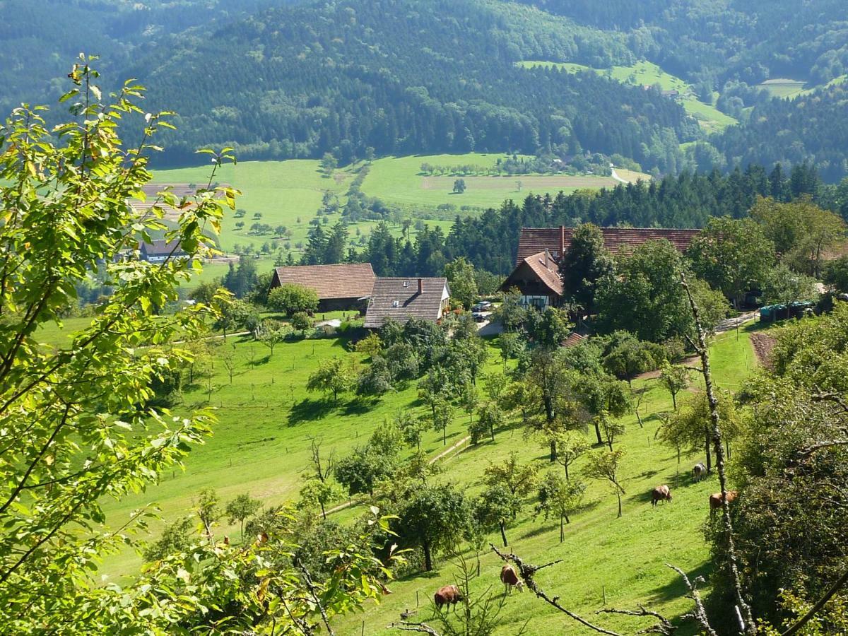 Ferienhaus Eck Zell am Harmersbach Exterior photo